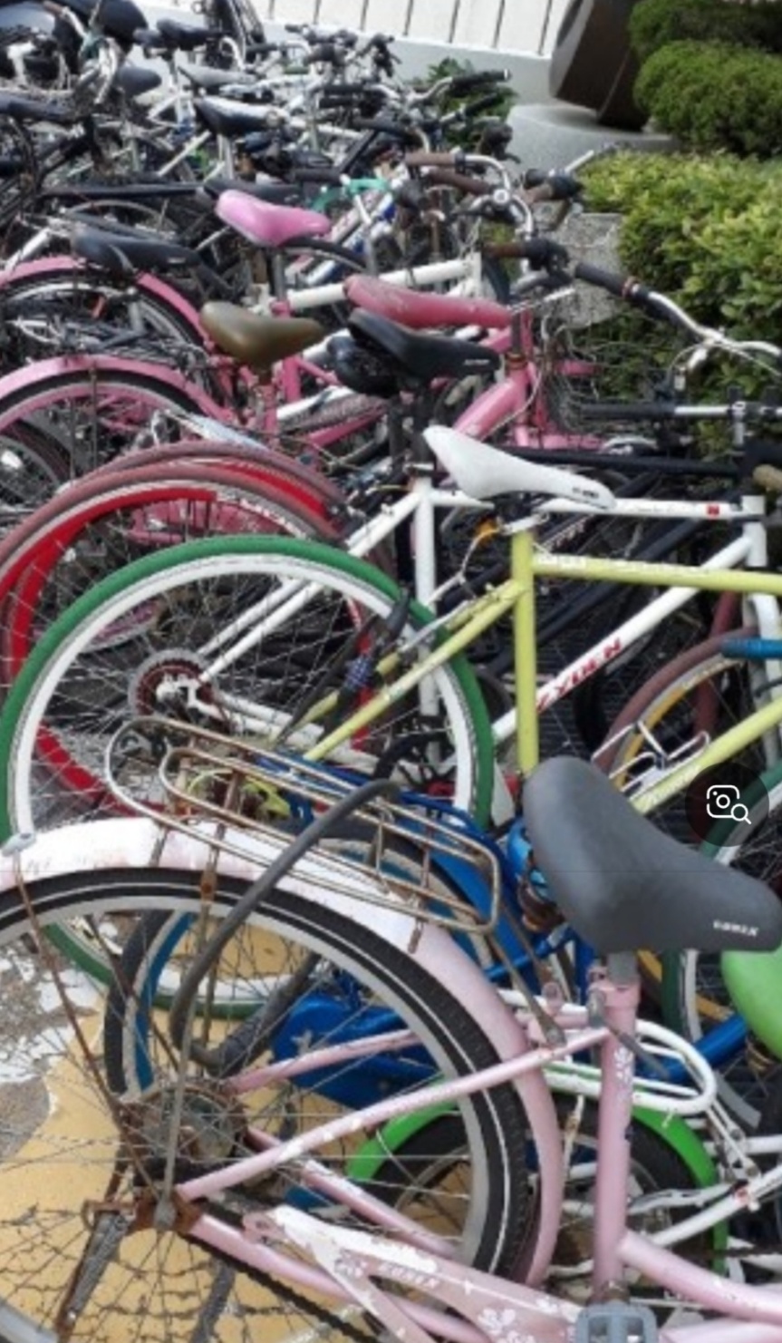 31396258_3oF4dQsN_7583db7cb4e0c980f287d908541e98189ef2c090.jpg 이미지크게보기