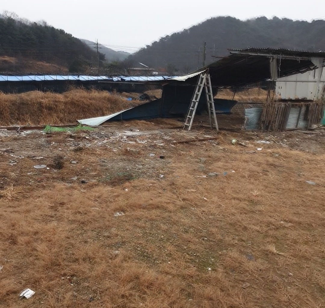 31396258_9GTybAdH_d37b2a6e3edd35fa1eed59b520a504f45029a594.jpg 이미지크게보기