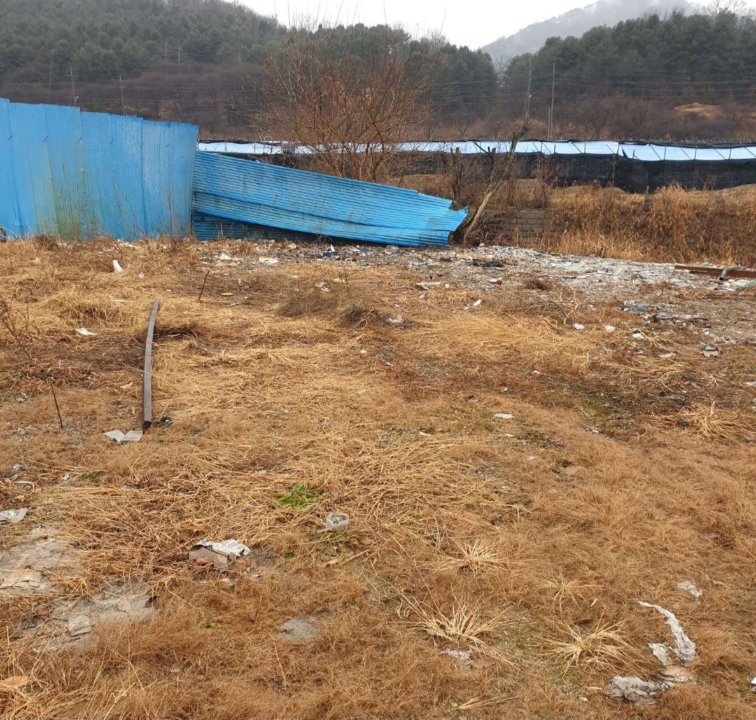 31396258_tVZxIdMw_c9f66dfb7c783622b5e63cefcaba08a84e536c6d.jpg 이미지크게보기